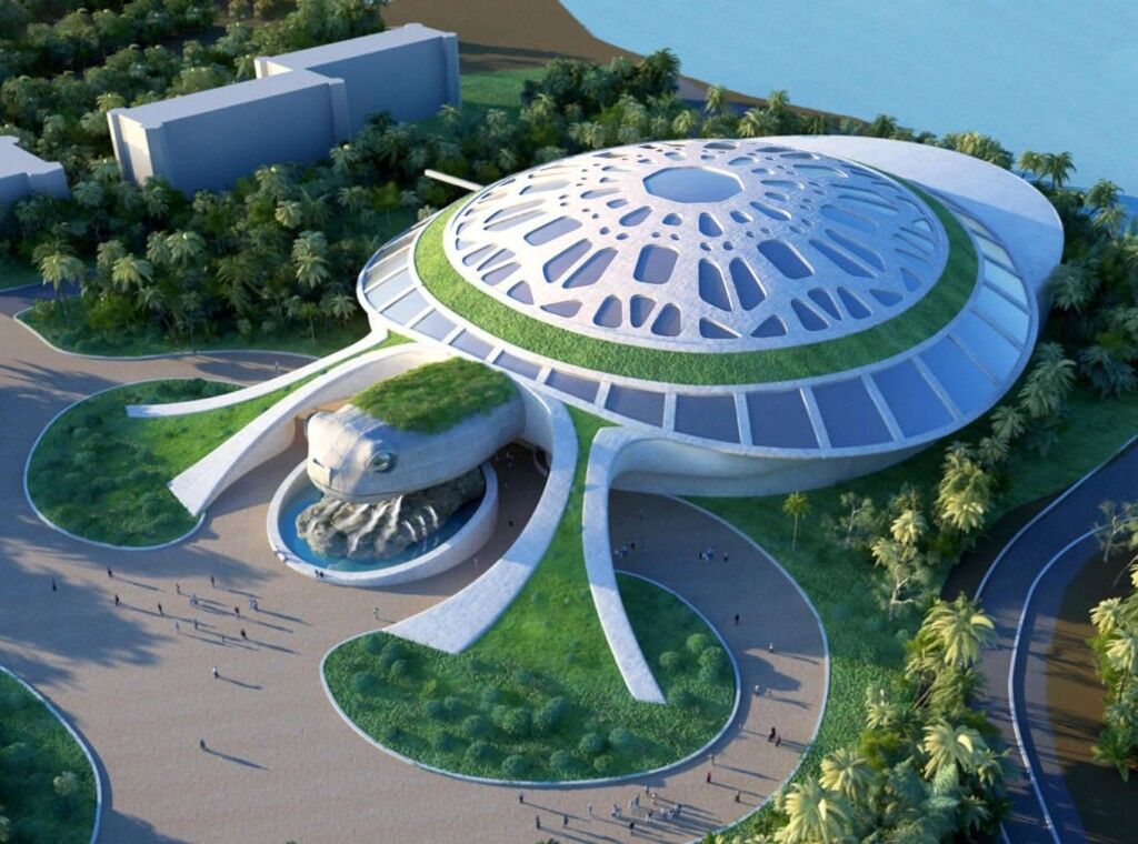 legacy entertainment development turtle