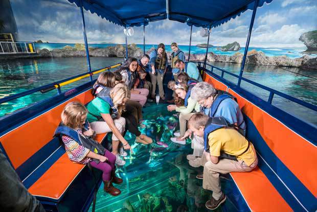 ripleys aquarium of the smokies launches glass bottom boat adventure