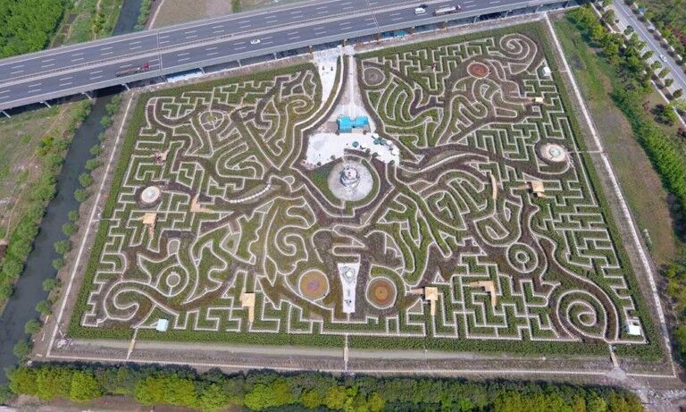 Adrian Fisher ningo world's largest hedge maze butterfly