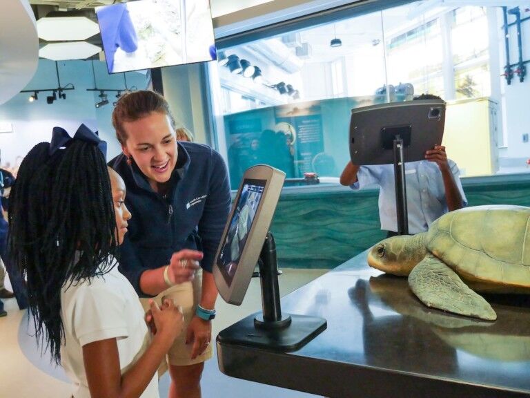 gilr interacts at Zucker Family Sea Turtle Recovery at south carolina aquarium