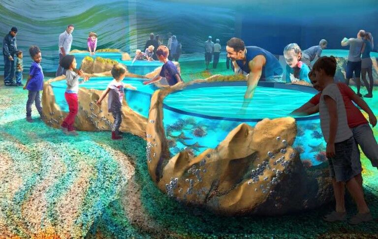 Touching pool at St. Louis Aquarium at Union Station