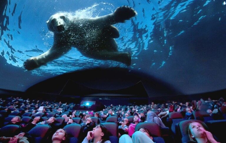 euromax polar bear giant dome cinema