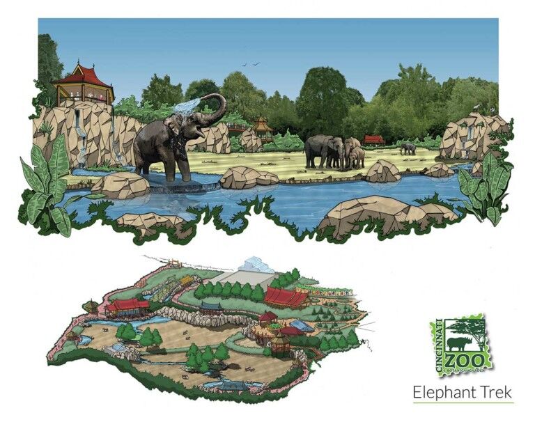 Cincinnati Zoo Elephant Trek