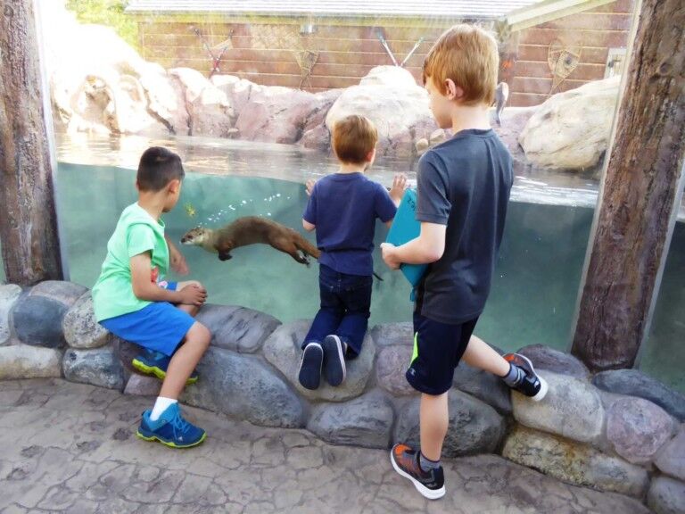 Boys water a river otter at Otter Passage at Milwaukee County Zoo