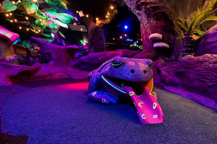 paragon indoor golf