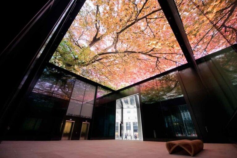 trees on ceiling part of LED art installation at London's Fen Court
