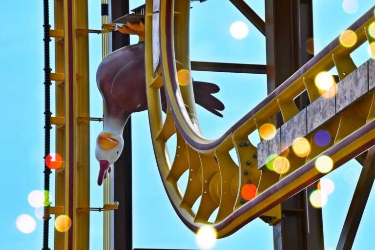 schwaben park roller ball coaster with chicken