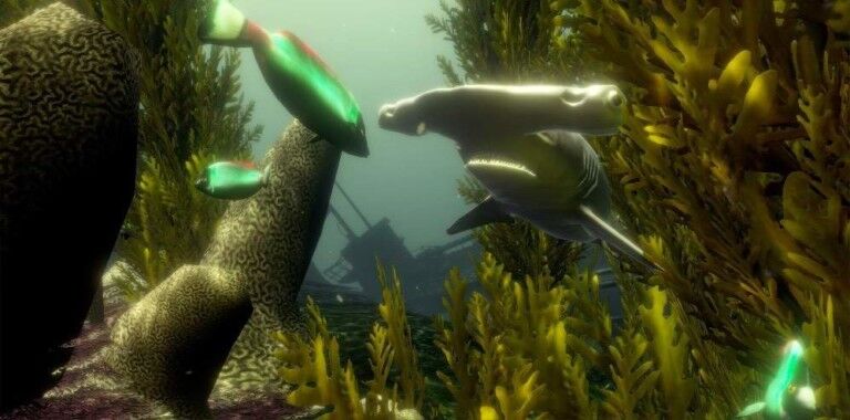 wiegand.maelzer vr snorkelling experience with hammerhead shark