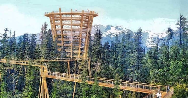 Spectacular tree canopy walk planned for Sea to Sky Gondola, BC