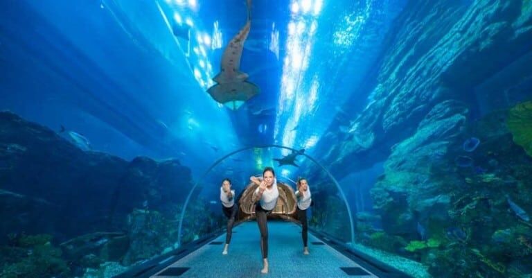 underwater yoga at Dubai Aquarium