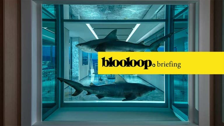 blooloop briefing attractions news damien hirst shark empathy suite