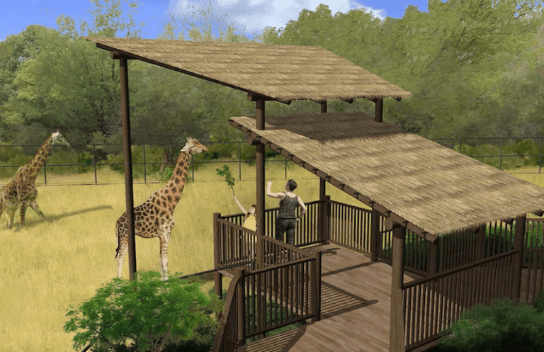 erie zoo rendering