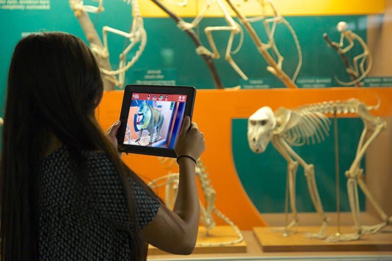 skin and bones smithsonian AR experience checklist