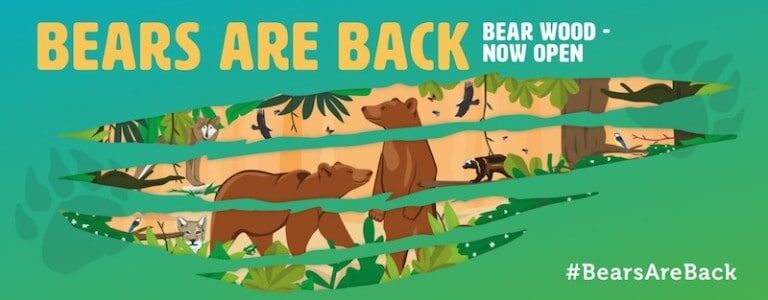 bear wood wild place project bristol