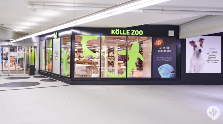 dan pearlman kolle zoo