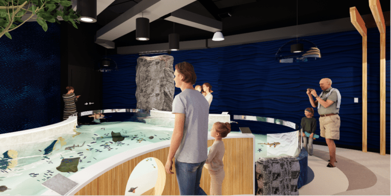 aquarium of niagara shark and ray bay