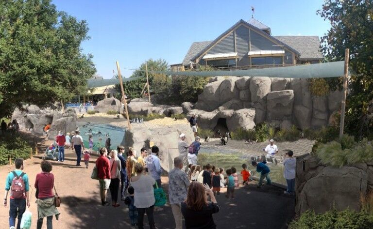 denver zoo penguin habitat