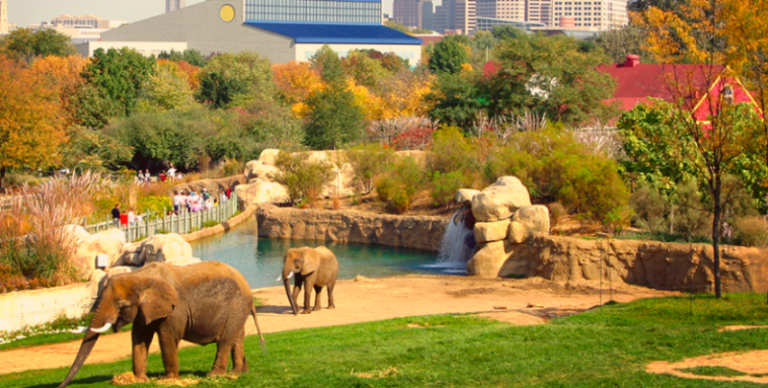 indianapolis zoo tembo camp