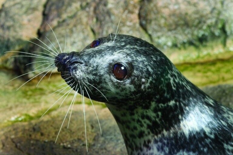maritime aquarium at norwalk