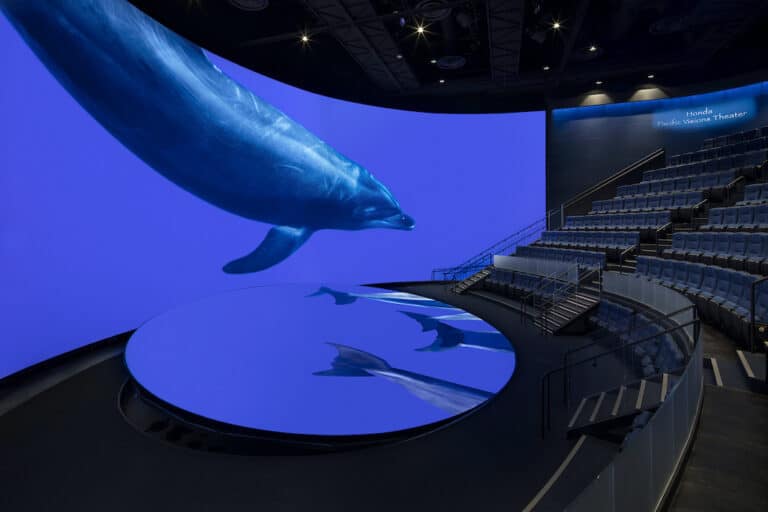 Aquarium of the Pacific / Pacific Visions 7thSense Design