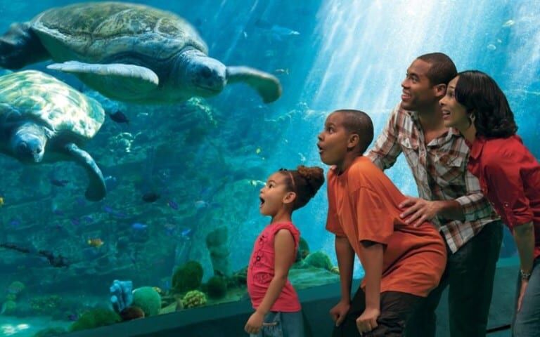 seaworld san diego