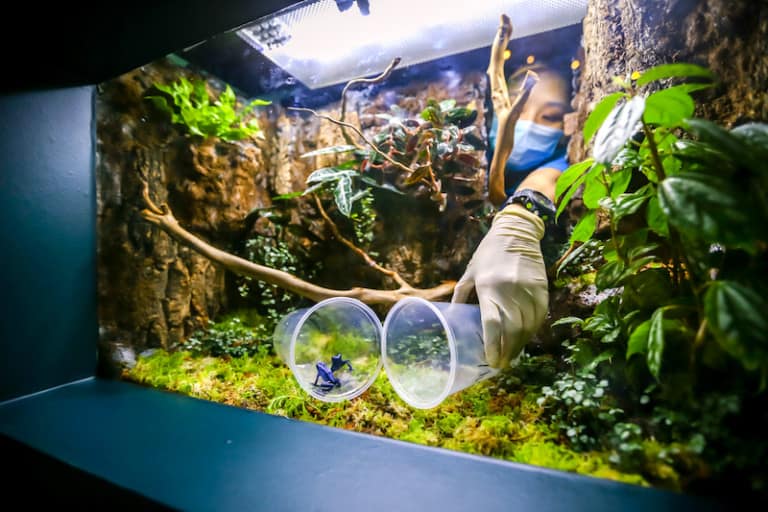 sea aquarium rws
