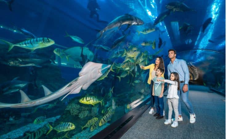 Dubai Aquarium