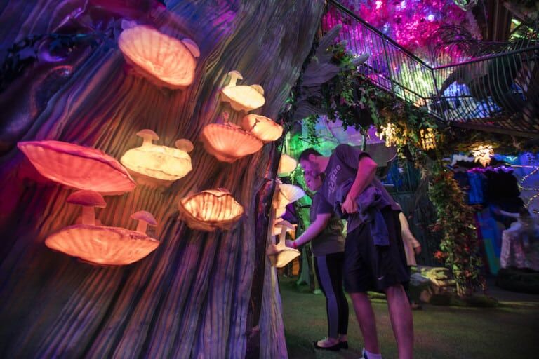 Meow Wolf's House of Eternal Return