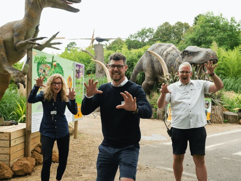 roarr dinosaur adventure