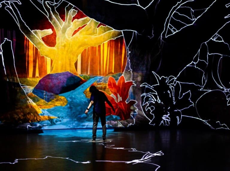 Person standing in Meow Wolf projected room