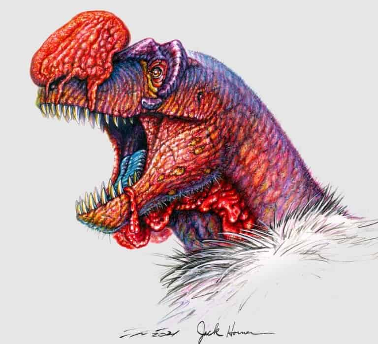 Tyrannosaurus rex. Jack Horner_NFTs