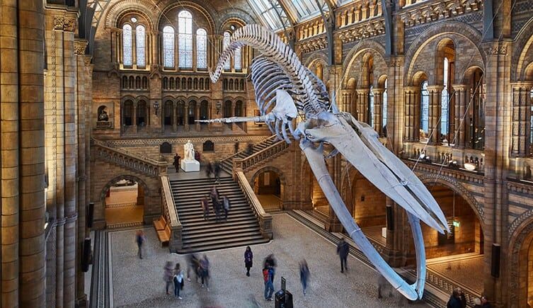 natural history museum london
