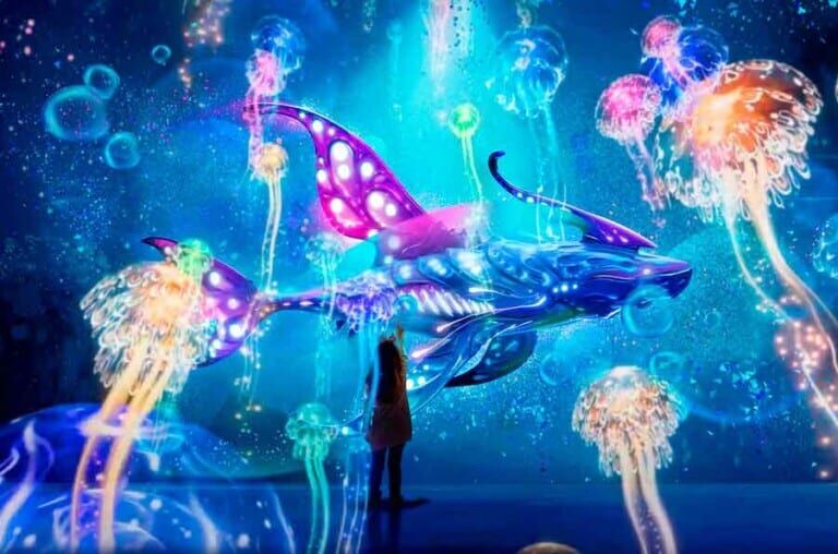 oceanarium romford hello i:o