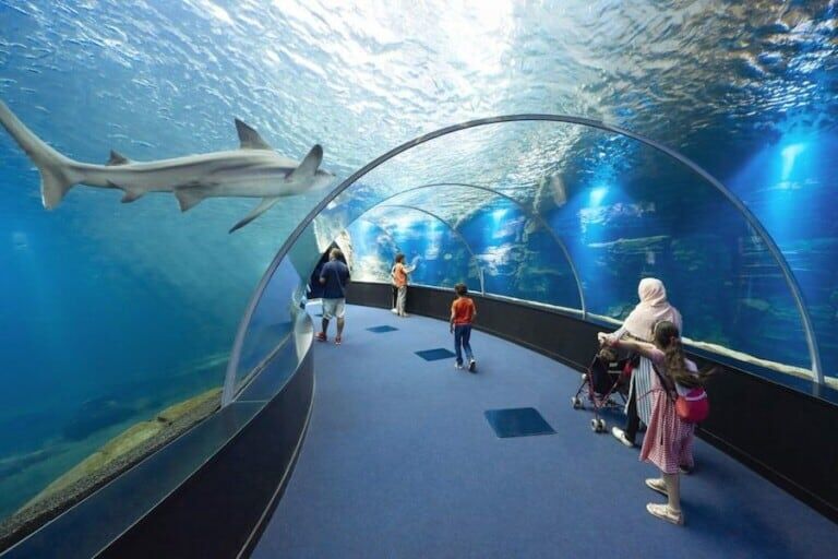 tunnel at Nausicaá aquarium Top zoos and aquariums europe
