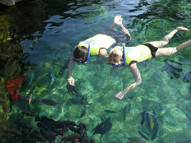uShaka Sea World Snorkel