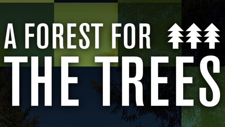 forest for the trees superblue atlantic