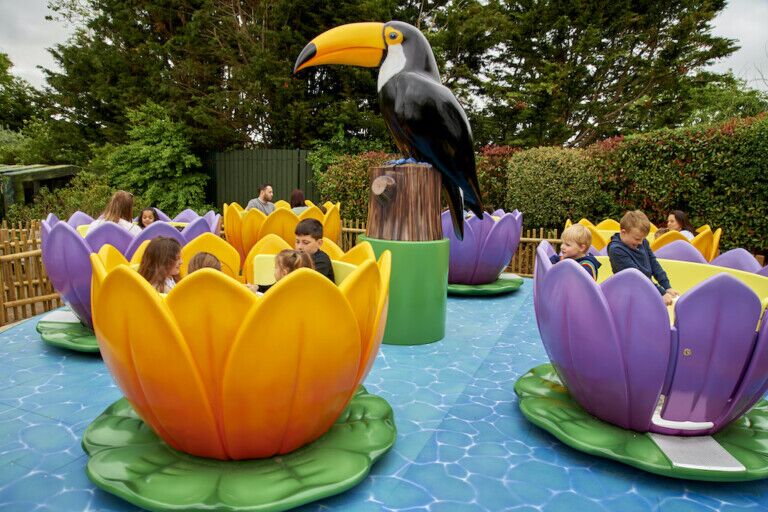 Toucan Twister Drusillas