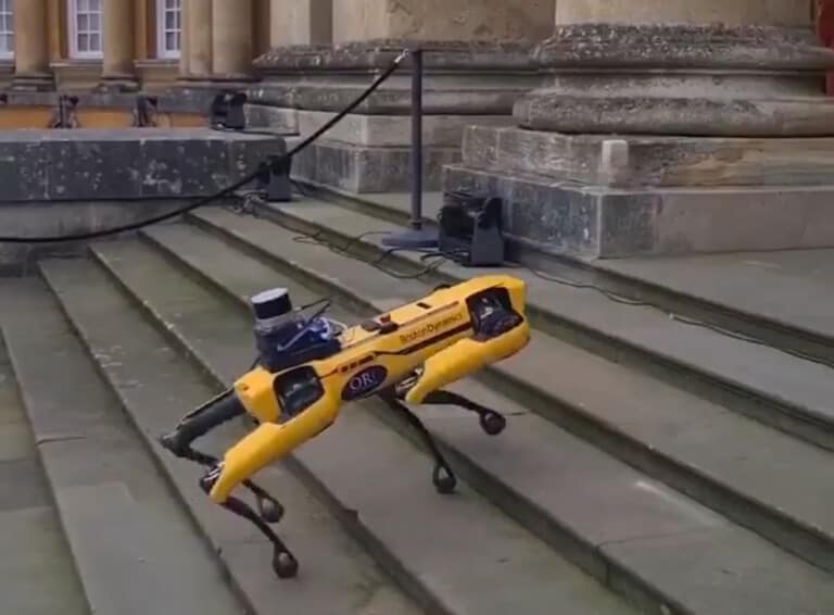 blenheim palace robot dog