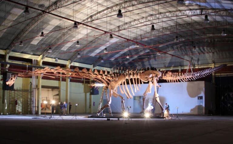 natural history museum titanosaur