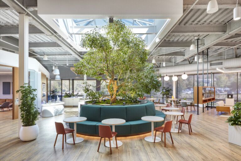 Ember HQ California