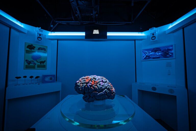 Oxford Uni brain-themed escape room