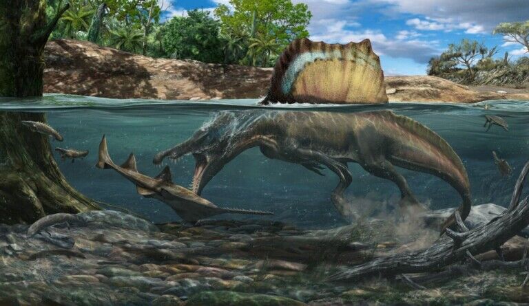 spinosaurus field museum