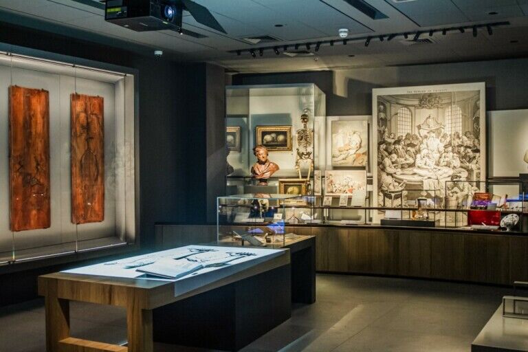 BECK Hunterian Museum
