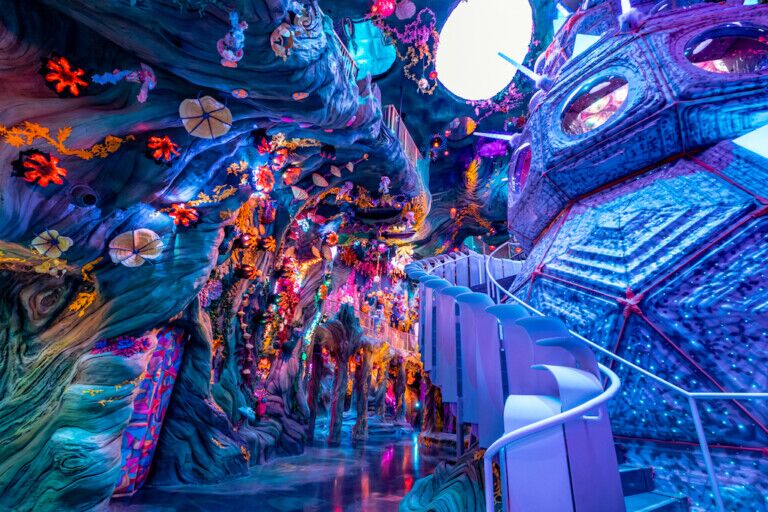 Numina Meow Wolf Denver