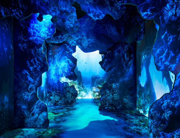 arcadia earth