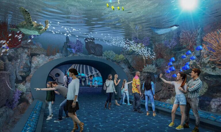 shedd aquarium redesign