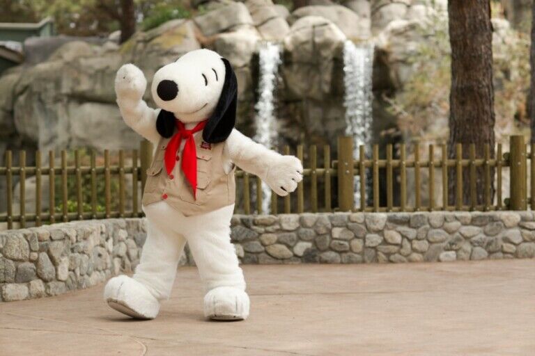 Zamperla Camp Snoopy