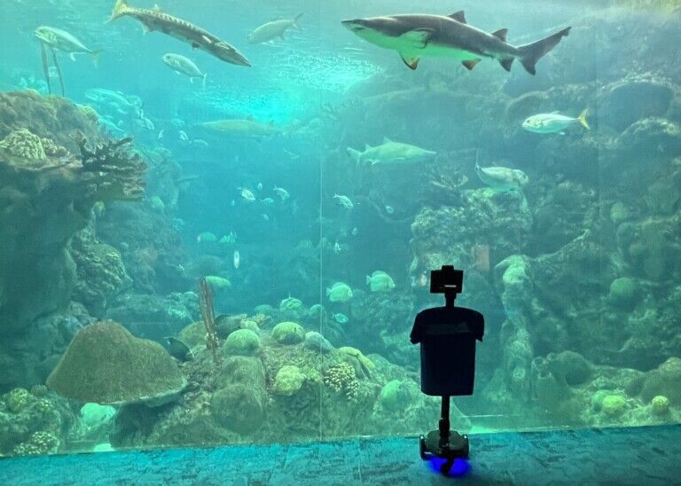 florida aquarium