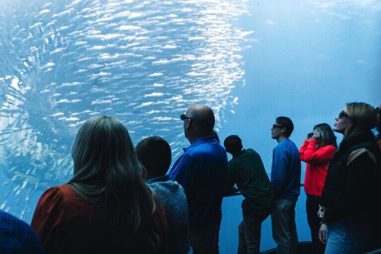 KLT Xperia Ocean Journey (c) SP Immersive Entertainment