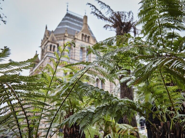 natural history museum transformed gardens